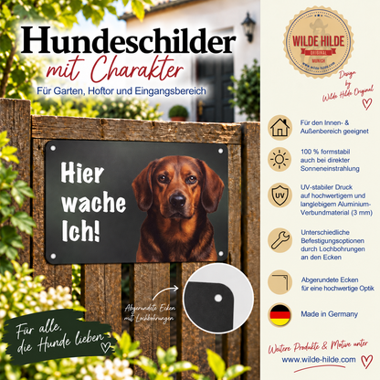 Alpenländische Dachsbracke Warnschild „Hier wache ich!“
