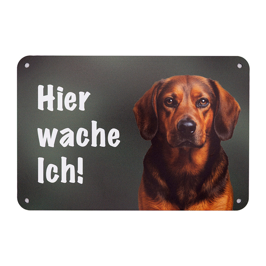 Alpenländische Dachsbracke Warnschild „Hier wache ich!“