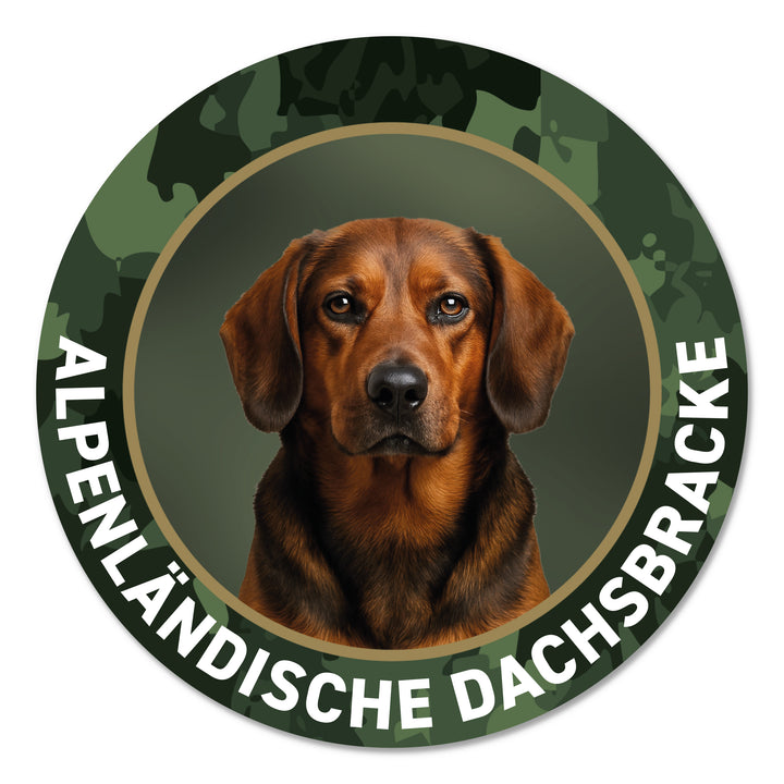 Alpenländische Dachsbracke Jagdhund Premium-Aufkleber, UV- & witterungsbeständig, 7 Jahre im Außenbereich, Made in Germany, Ø 10 cm