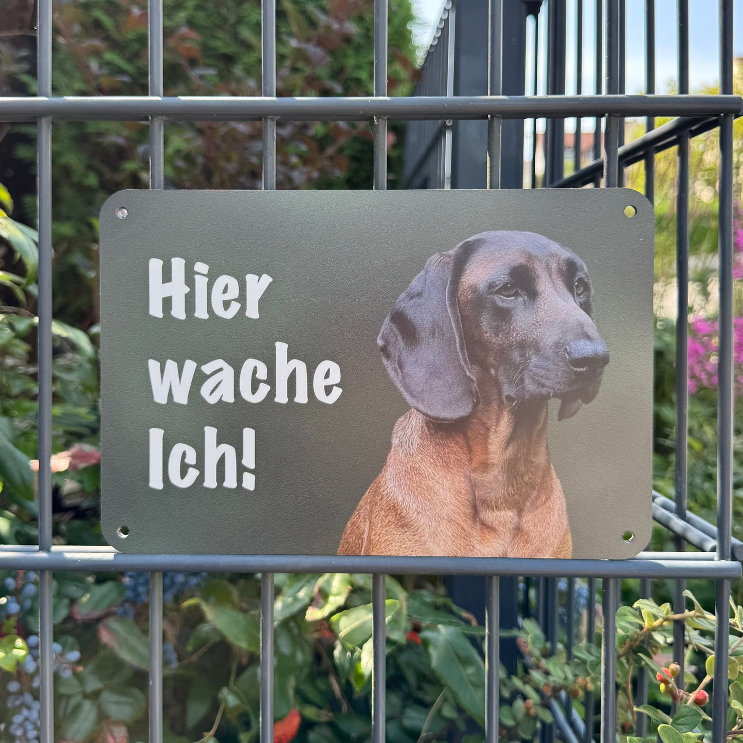 Tiroler Bracke Warnschild „Hier wache ich!“ | Jagdhund Hundeschild für Zaun, Tor & Grundstück, wetterfest