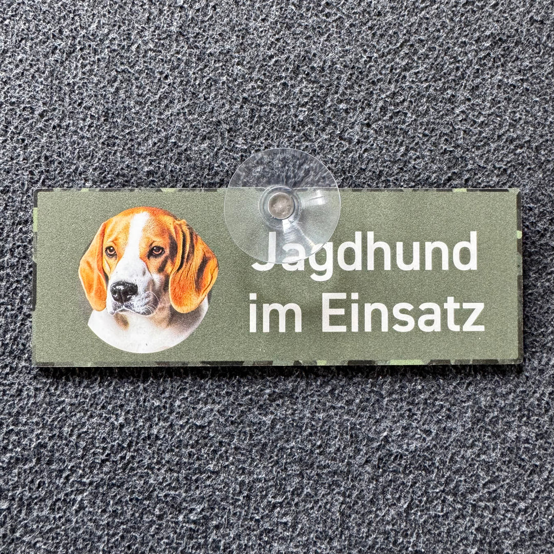Jagdhund im Einsatz "Beagle"