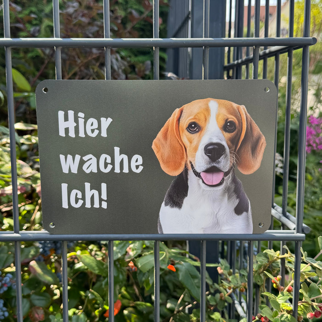 "Hier wache ich!" Zaunschild Beagle Jagdhund