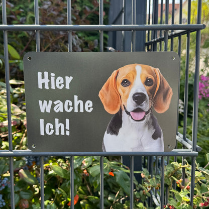 Beagle Jagdhund – Hundeschild "Hier wache ich!" für Gartenzaun und Eingangsbereich