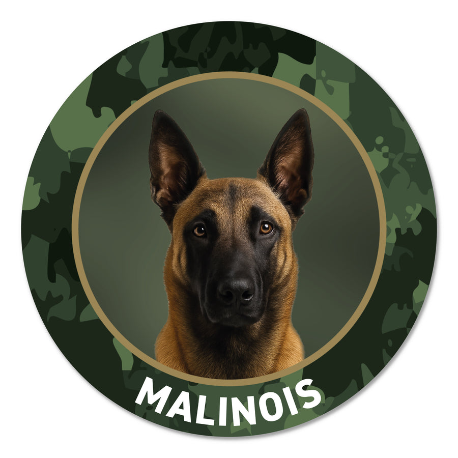 Belgischer Schäferhund Aufkleber fürs Auto