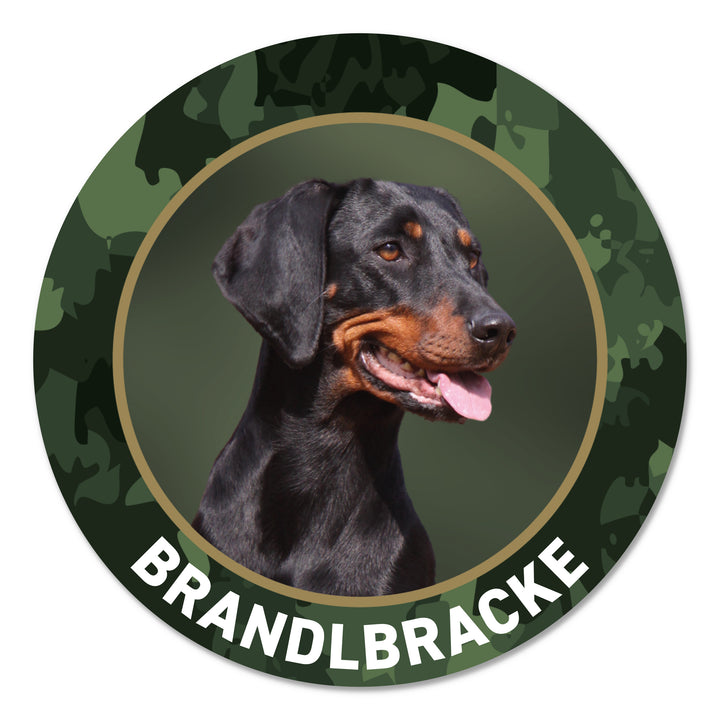 Brandlbracke Jagdhund Premium-Aufkleber, UV- & witterungsbeständig, 7 Jahre im Außenbereich, Made in Germany, Ø 10 cm