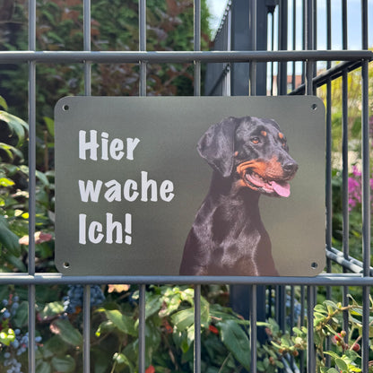 Brandlbracke Warnschild „Hier wache ich!“ | Jagdhund Hundeschild für Zaun, Tor & Grundstück, wetterfest
