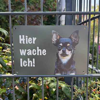 Chihuahua Kurzhaar Warnschild „Hier wache ich“ | Wachhund Hundeschild für Zaun, Tor & Grundstück, wetterfest