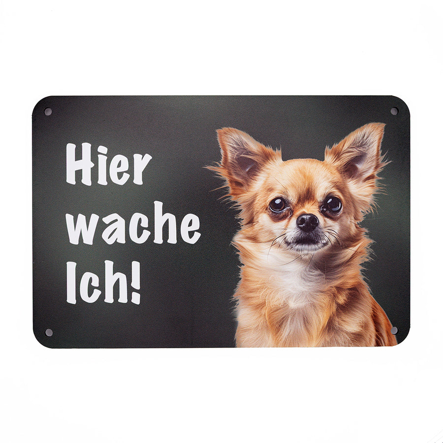 Chihuahua Warnschild „Hier wache ich!“