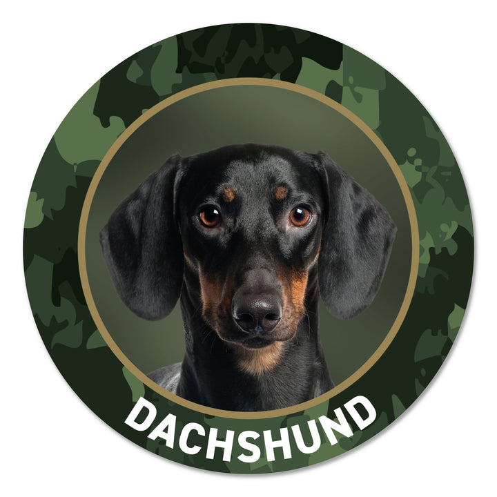 Dachshund Teckel Jagdhund Premium-Aufkleber, UV- & witterungsbeständig, 7 Jahre im Außenbereich, Made in Germany, Ø 10 cm