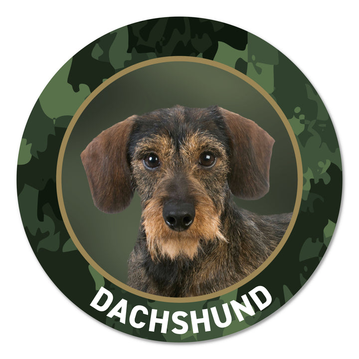 Dachshund Dackel Jagdhund Premium-Aufkleber, UV- & witterungsbeständig, 7 Jahre im Außenbereich, Made in Germany, Ø 10 cm