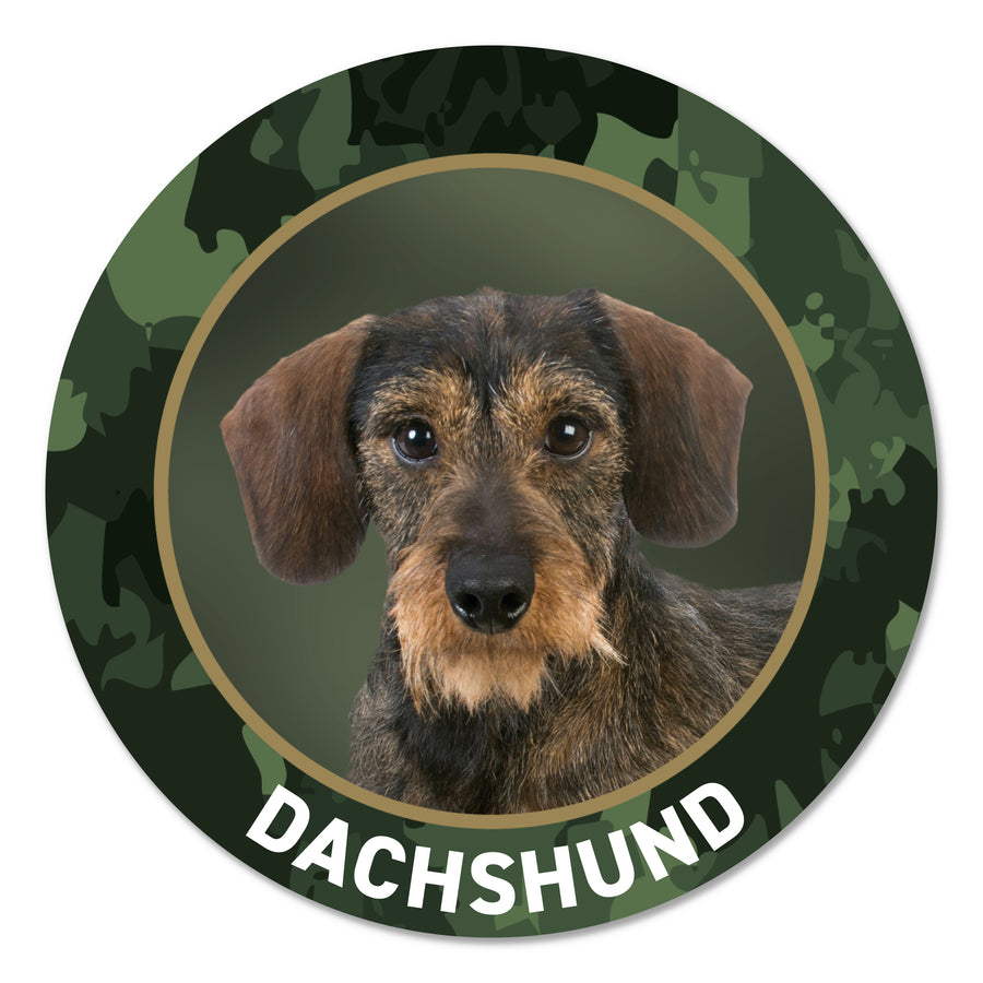 Dachshund Aufkleber Rauhaar fürs Auto