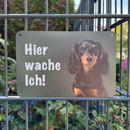 Langhaardackel - Teckel Warnschild „Hier wache ich!“ | Jagdhund Hundeschild für Zaun, Tor & Grundstück, wetterfest
