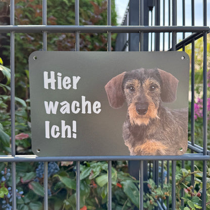 Rauhaarhaardackel - Teckel Warnschild „Hier wache ich!“ | Jagdhund Hundeschild für Zaun, Tor & Grundstück, wetterfest