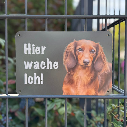 Langhaardackel, Teckel Warnschild „Hier wache ich!“ | Jagdhund Hundeschild für Zaun, Tor & Grundstück, wetterfest