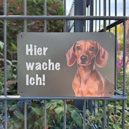 Kurzhaardackel, Teckel Warnschild „Hier wache ich!“ | Jagdhund Hundeschild für Zaun, Tor & Grundstück, wetterfest