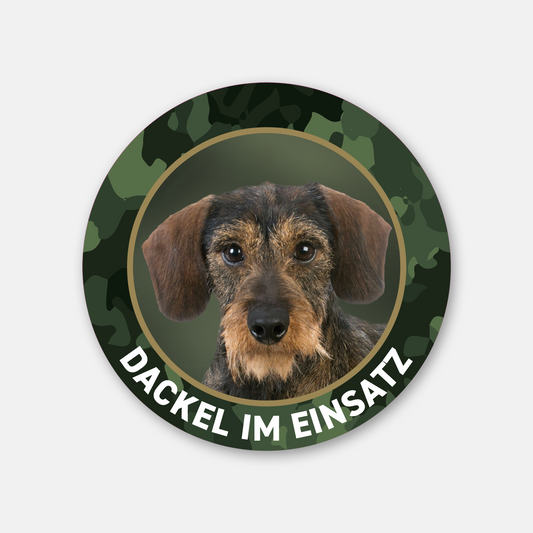 Rauhaardackel Aufkleber mit der Aufschrift "Dackel im Einsatz", Premium Teckel Sticker langlebig und Outdoor geeignet