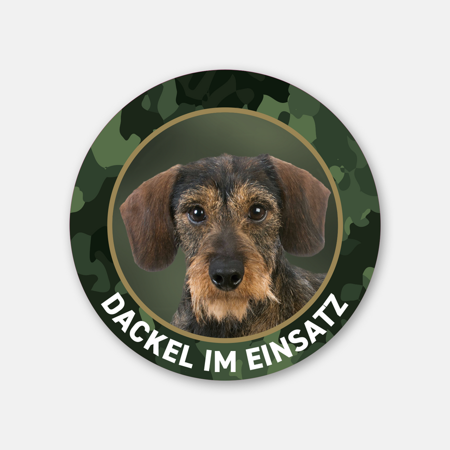 Rauhaardackel Aufkleber mit der Aufschrift "Dackel im Einsatz", Premium Teckel Sticker langlebig und Outdoor geeignet