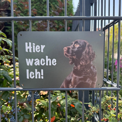 Deutscher Wachtelhund Warnschild „Hier wache ich!“ | Jagdhund Hundeschild für Zaun, Tor & Grundstück, wetterfest