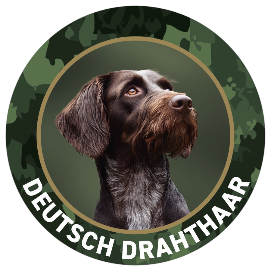 Deutsch Drahthaar Aufkleber Braunschimmel fürs Auto