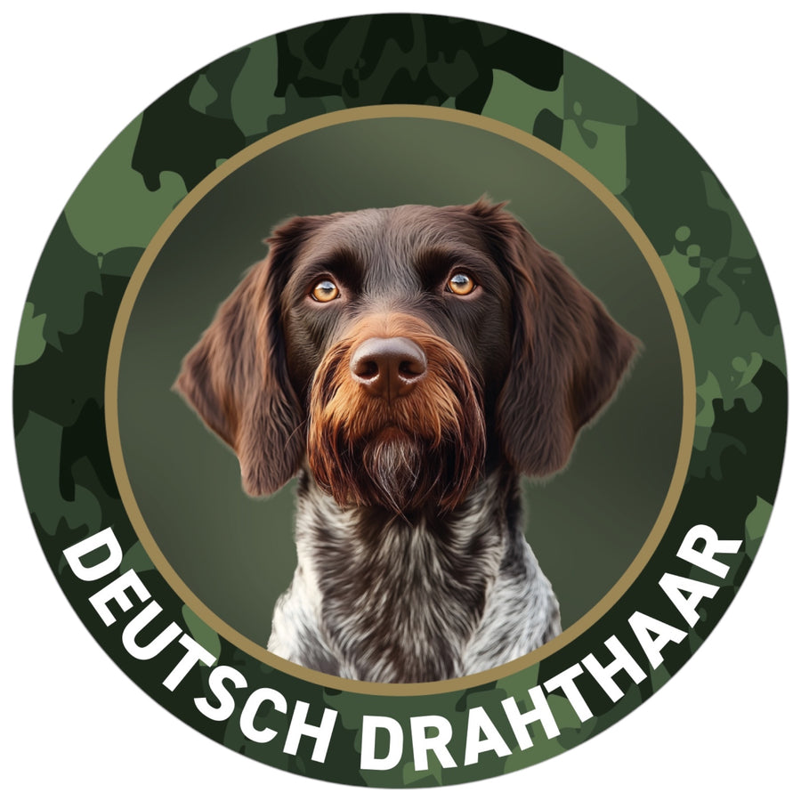Deutsch Drahthaar Aufkleber Braunschimmel II fürs Auto