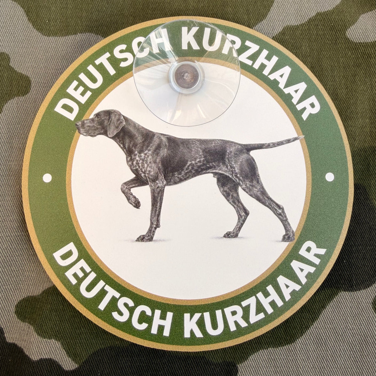 Deutsch Kurzhaar Jagdhund Schild fürs Auto mit vorstehendem Vorstehhund, grünem Rand und Saugnapf
