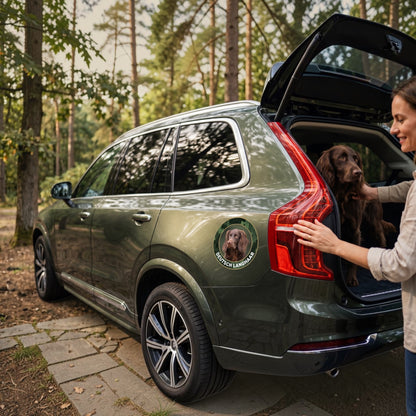 Deutsch Langhaar braun Aufkleber fürs Auto