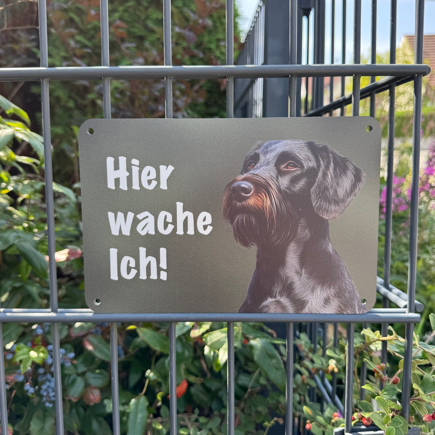 Deutsch Drahthaar DD Jagdhund schwarz – Hundeschild "Hier wache ich!" für Gartenzaun und Eingangsbereich