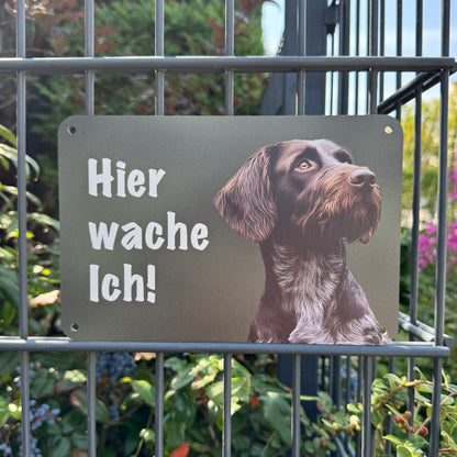 Deutsch Drahthaar DD Jagdhund braunschimmel – Hundeschild "Hier wache ich!" für Gartenzaun & Eingangsbereich