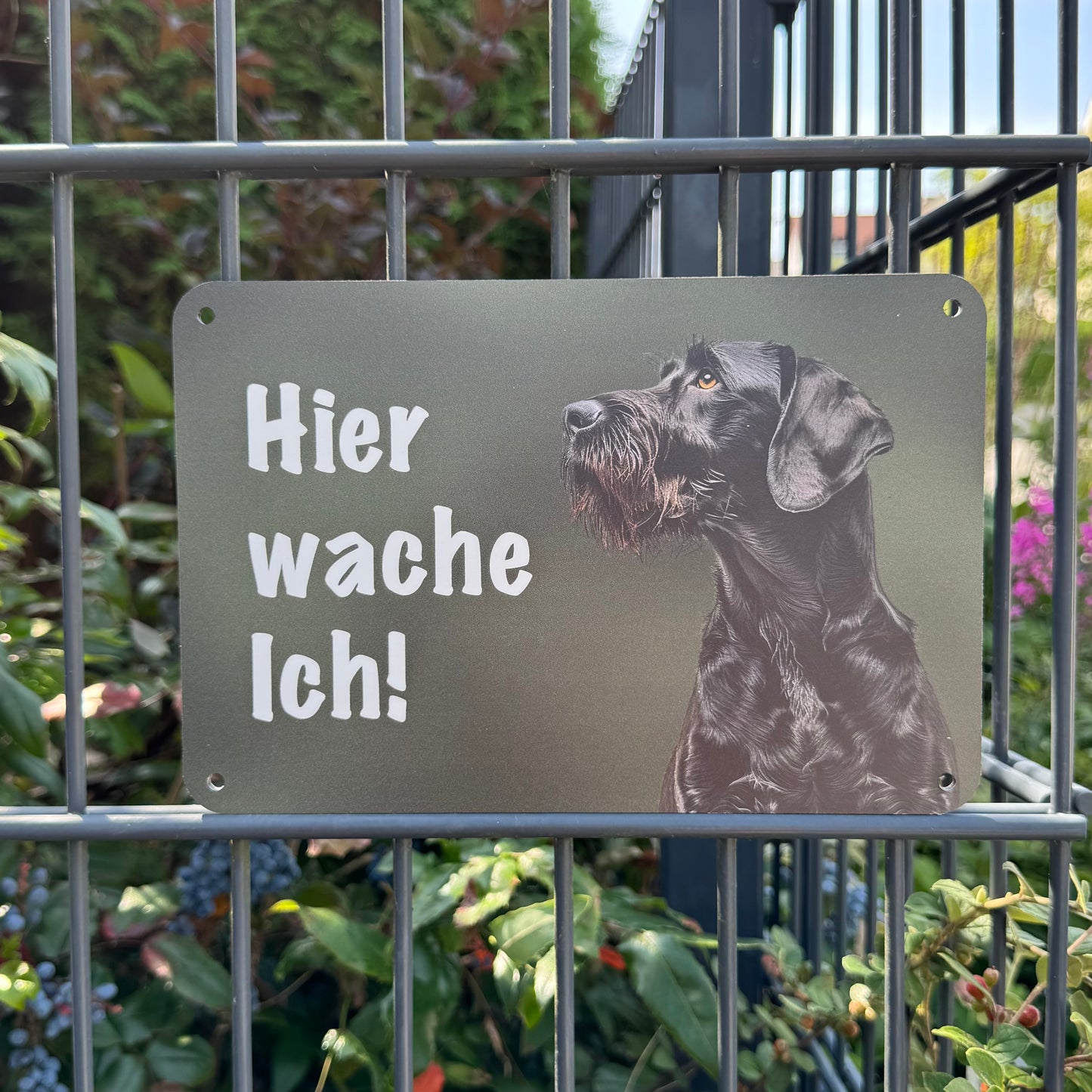 Deutsch Drahthaar schwarz Warnschild „Hier wache ich!“ | Jagdhund Hundeschild für Zaun, Tor & Grundstück, wetterfest
