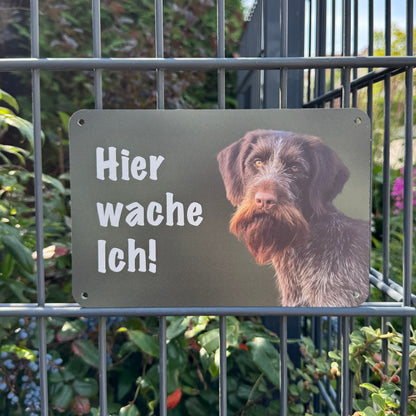 Deutsch Drahthaar DD klassisch Jagdhund – Hundeschild "Hier wache ich!" für Gartenzaun und Eingangsbereich