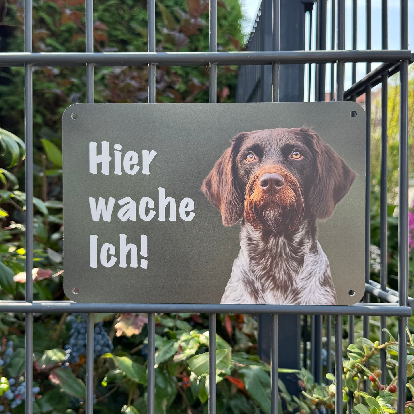 Deutsch Drahthaar DD Jagdhund – Hundeschild "Hier wache ich!" für Gartenzaun und Eingangsbereich