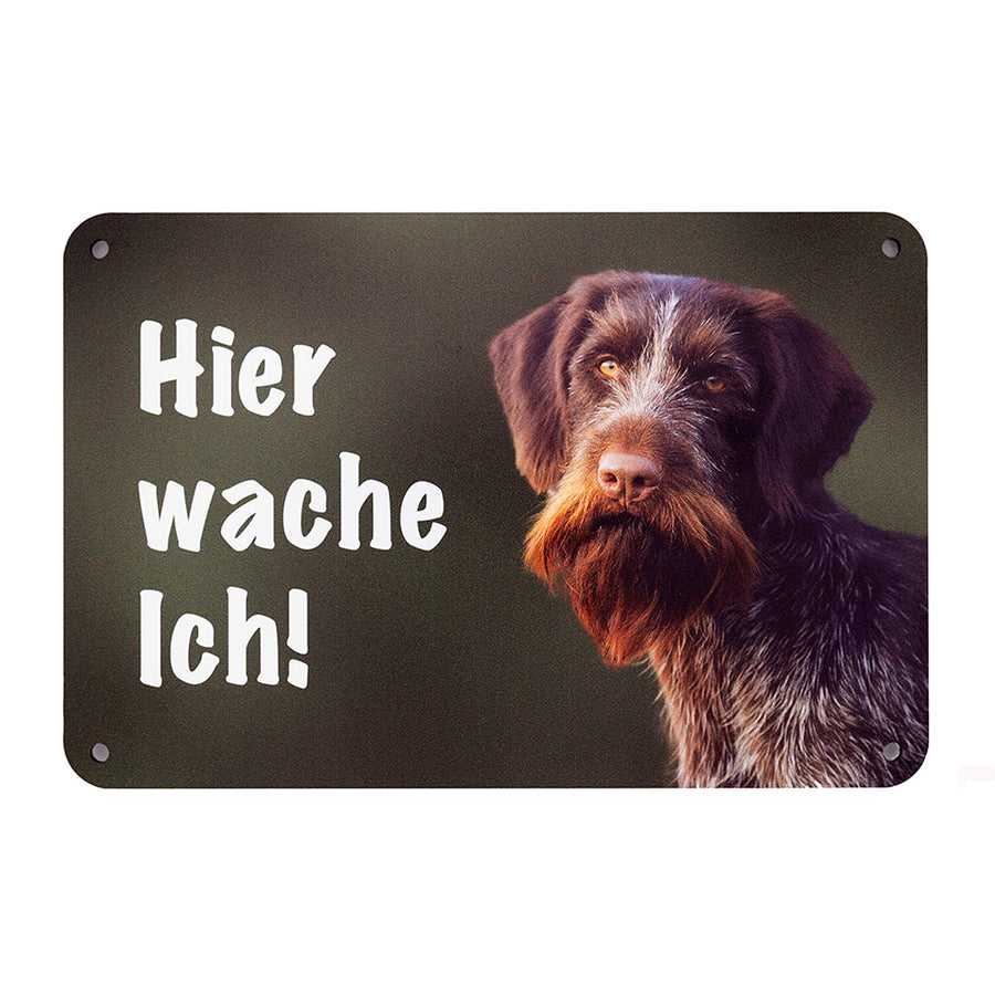 Deutsch Drahthaar klassisch Warnschild „Hier wache ich!“