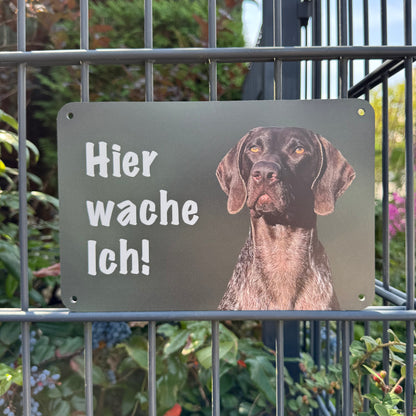 Deutsch Kurzhaar DK Warnschild „Hier wache ich!“ | Jagdhund Hundeschild für Zaun, Tor & Grundstück, wetterfest