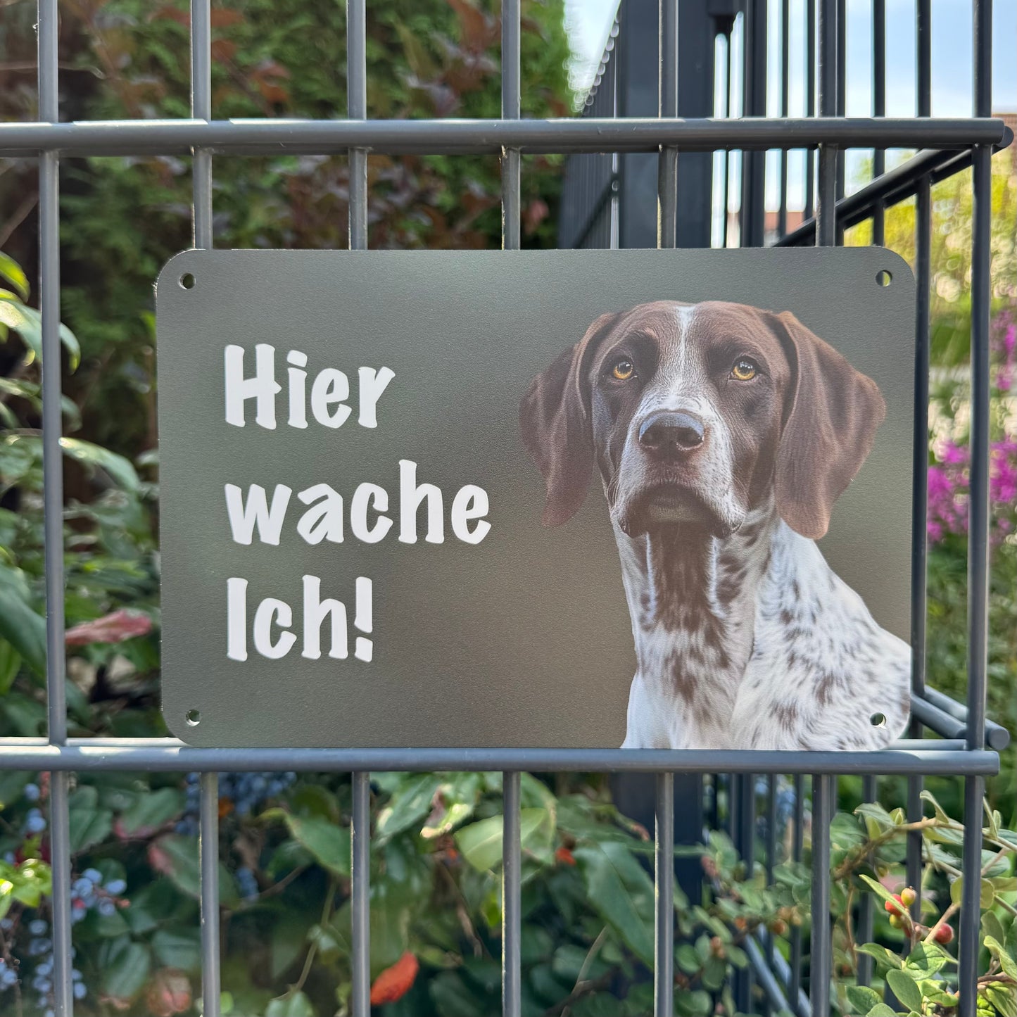 Deutsch Kurzhaar Braunschimmel Warnschild „Hier wache ich!“ | Jagdhund Hundeschild für Zaun, Tor & Grundstück, wetterfest