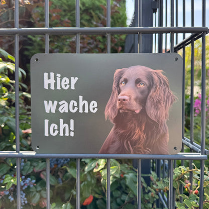 Deutsch Langhaar Warnschild „Hier wache ich!“ | Jagdhund Hundeschild für Zaun, Tor & Grundstück, wetterfest
