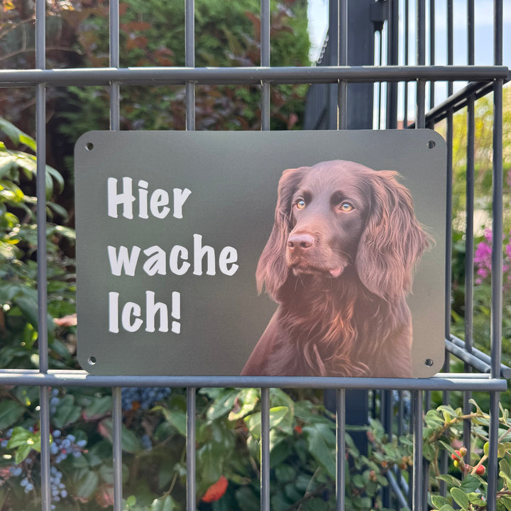 "Hier wache ich!" Zaunschild Deutsch Langhaar