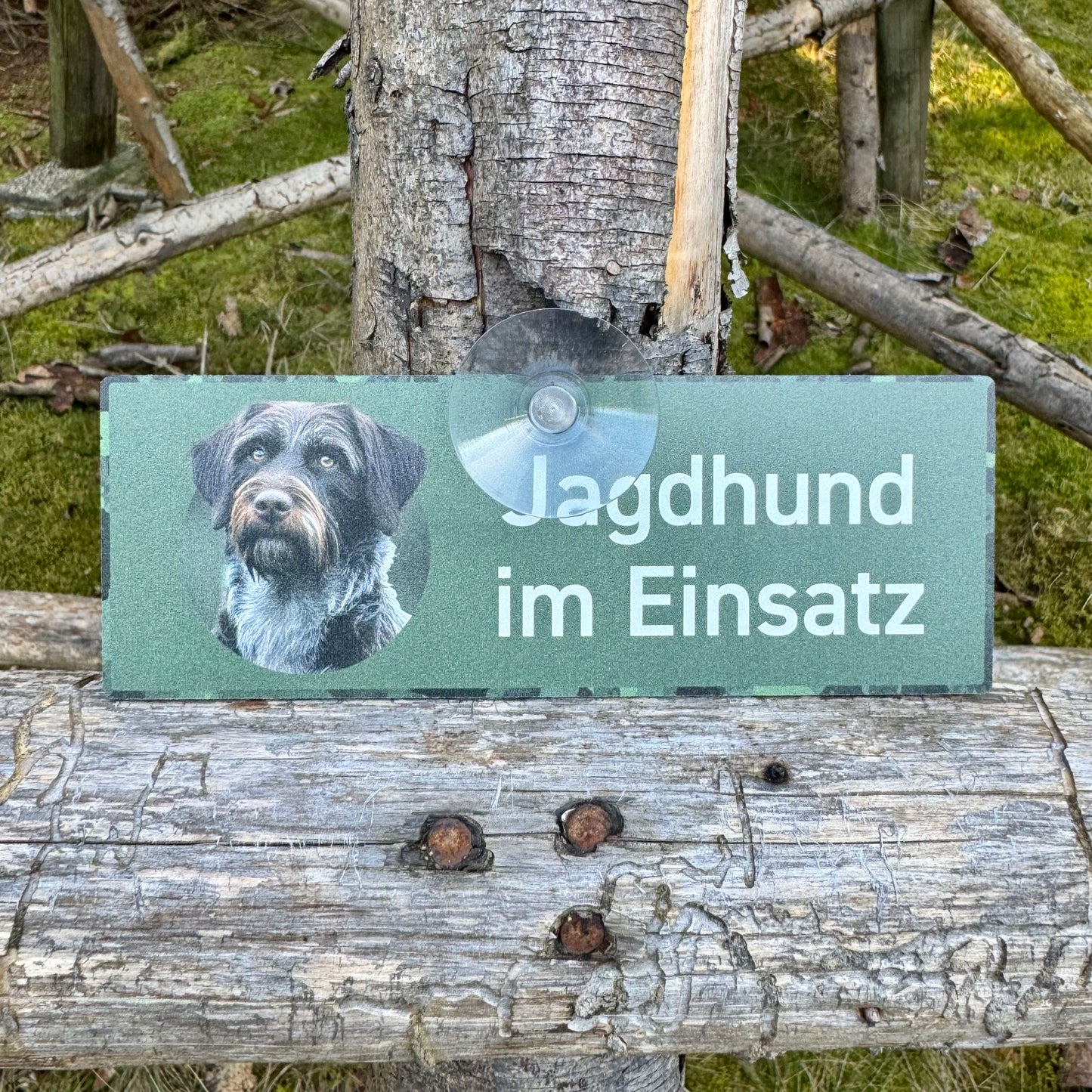 Jagdhundeschild mit Saugnapf "Deutsch Stichelhaar"