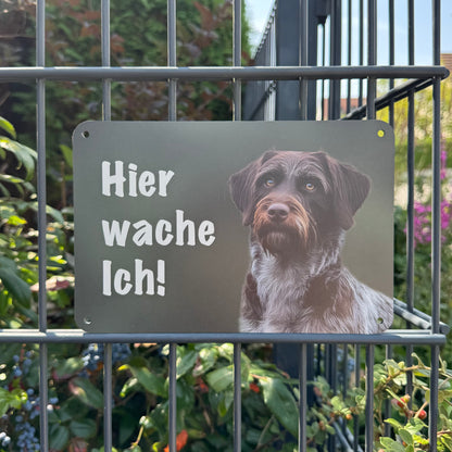 Deutsch Stichelhaar Warnschild „Hier wache ich!“ | Jagdhund Hundeschild für Zaun, Tor & Grundstück, wetterfest