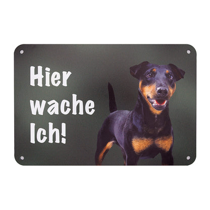 DJT Deutscher Jagdterrier Schild - Warnschild mit Kurzhaar Terrier Bild und der Aufschrift "Hier Wache ich!" aus Aluminiumverbundmaterial, Made in Germany