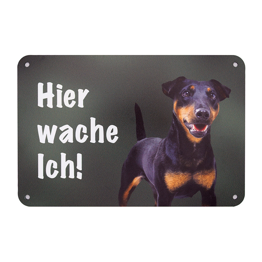 DJT Deutscher Jagdterrier Schild - Warnschild mit Kurzhaar Terrier Bild und der Aufschrift "Hier Wache ich!" aus Aluminiumverbundmaterial, Made in Germany