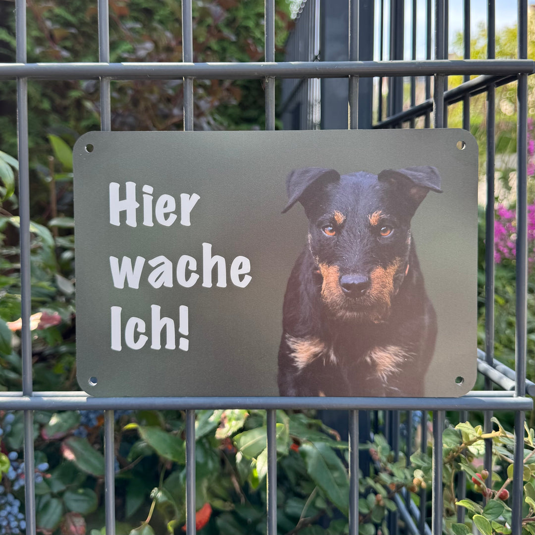 "Hier wache ich!" Zaunschild Jagdterrier Drahthaar
