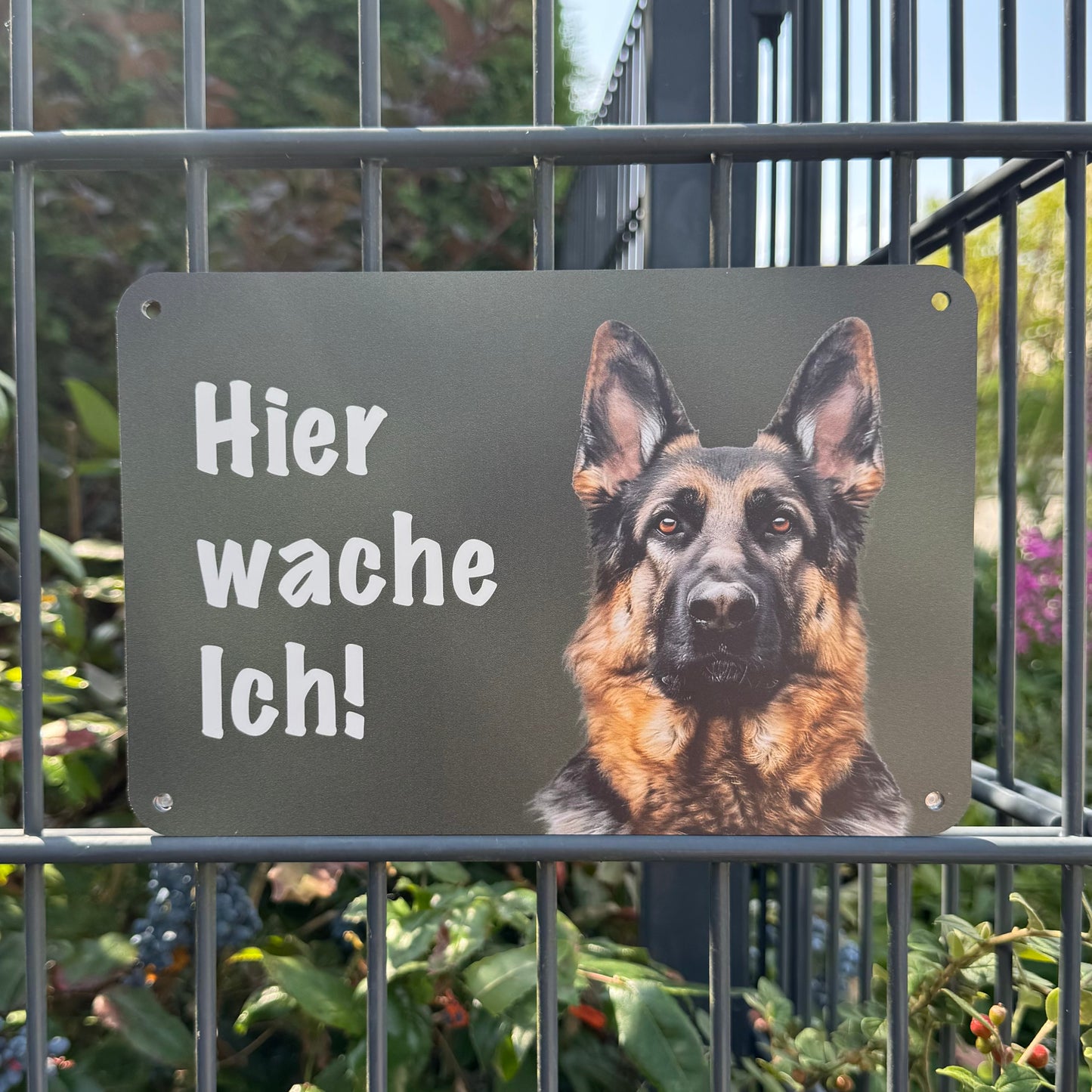 Deutscher Schäferhund Warnschild „Hier wache ich!“ | Wachhund Hundeschild für Zaun, Tor & Grundstück, wetterfest
