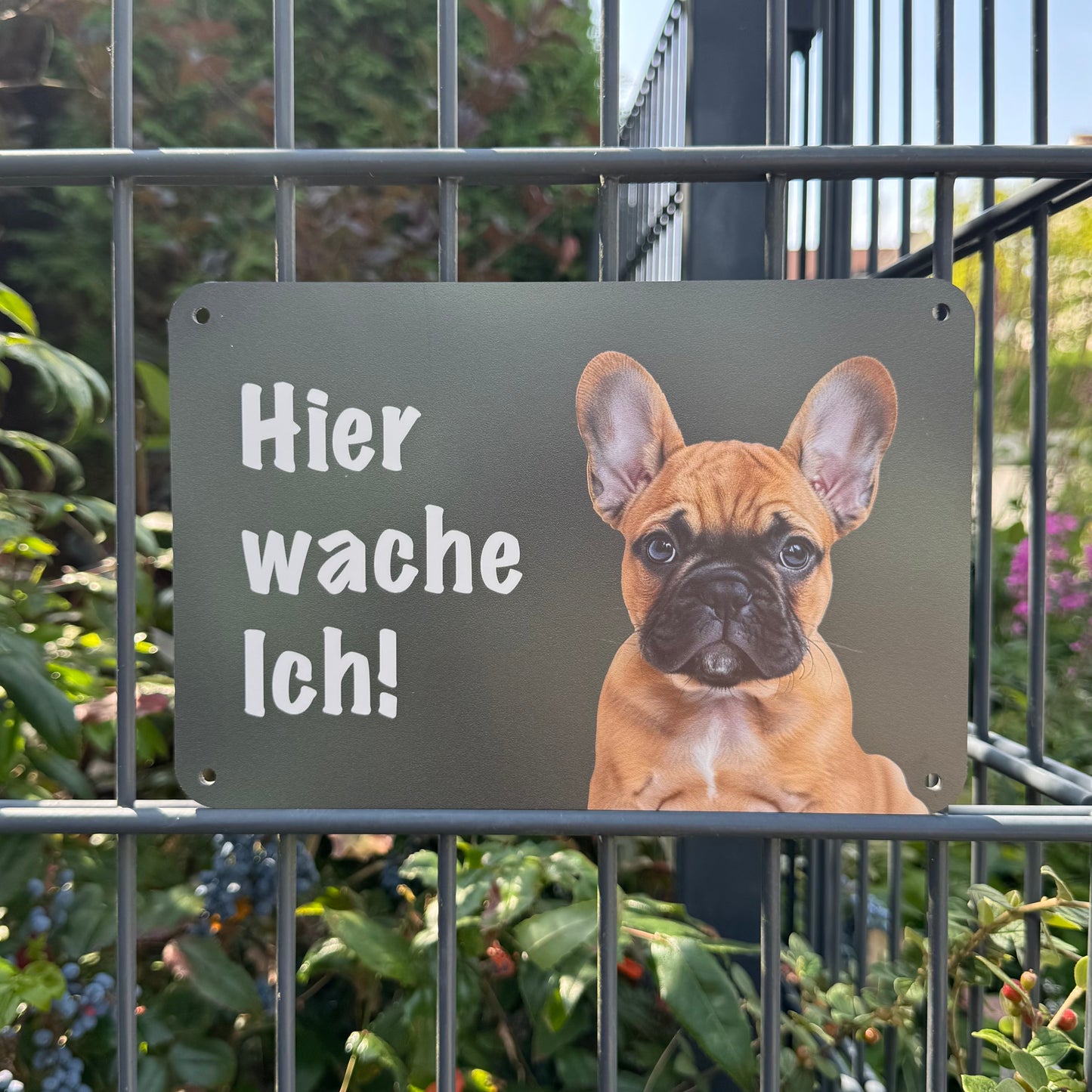 Französische Bulldogge Warnschild „Hier wache ich!“ | Hundeschild für Zaun, Tor & Grundstück, wetterfest