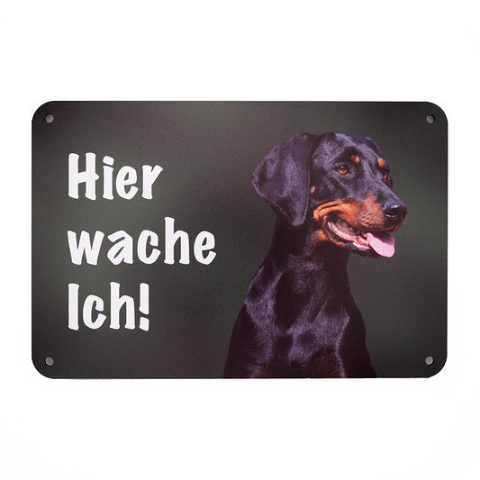 Brandlbracke Warnschild „Hier wache ich!“ | Jagdhund Hundeschild für Zaun, Tor & Grundstück, wetterfest