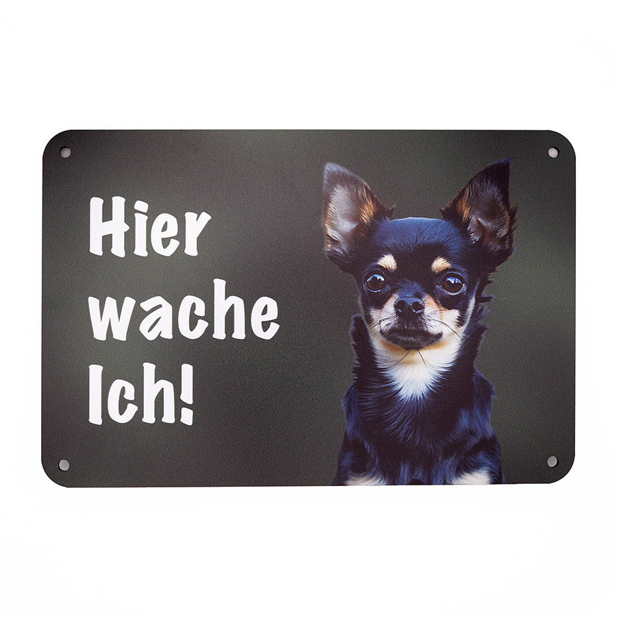 Chihuahua Kurzhaar Warnschild „Hier wache ich!“