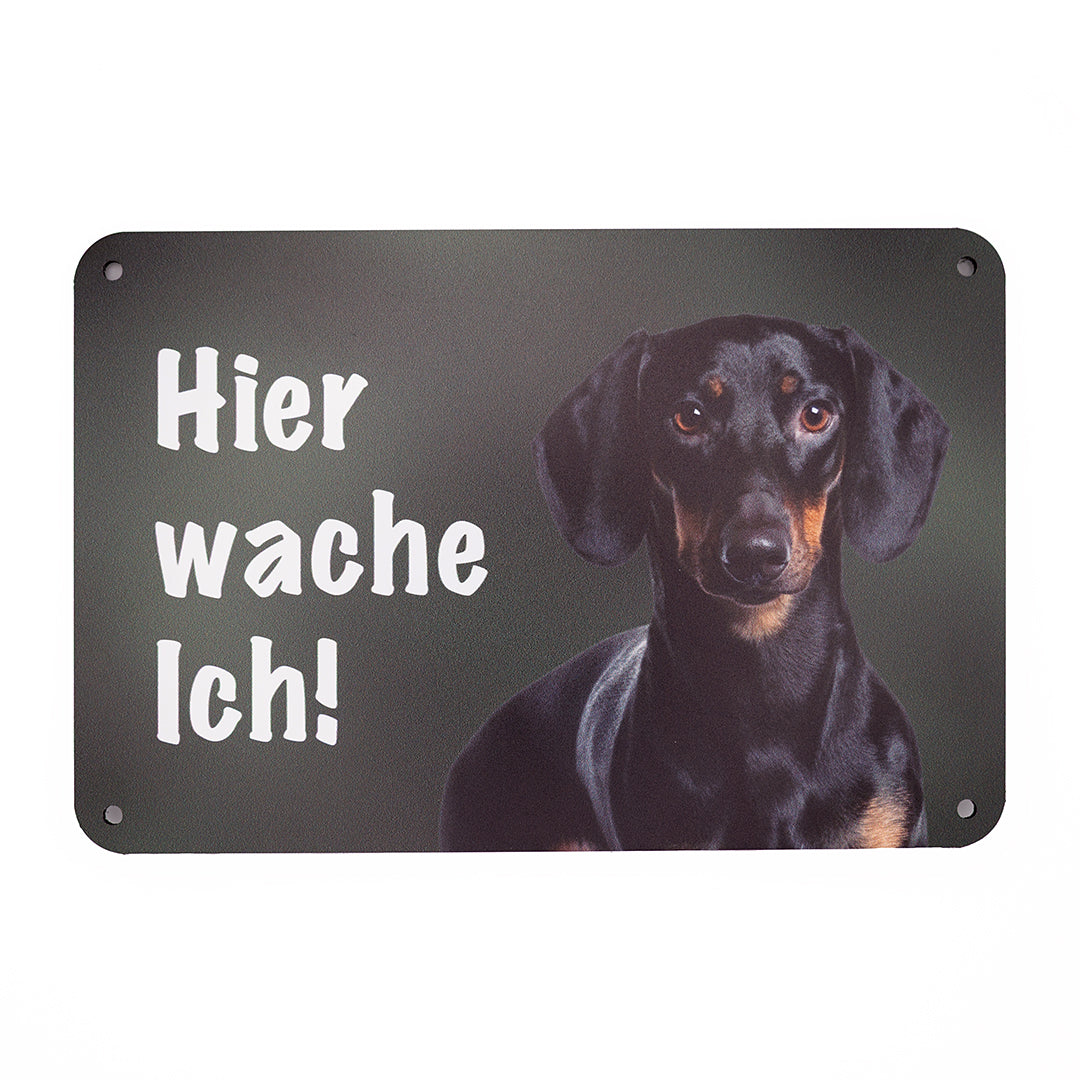 Kurzhaardackel / Teckel schwarz Warnschild „Hier wache ich!“ | Jagdhund Hundeschild für Zaun, Tor & Grundstück, wetterfest