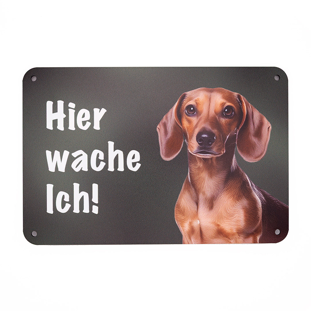 Kurzhaardackel, Teckel Warnschild „Hier wache ich!“ | Jagdhund Hundeschild für Zaun, Tor & Grundstück, wetterfest