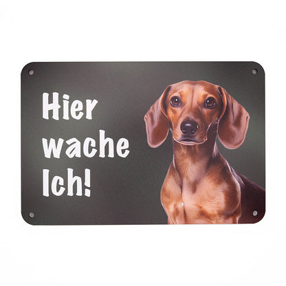 Kurzhaardackel, Teckel Warnschild „Hier wache ich!“ | Jagdhund Hundeschild für Zaun, Tor & Grundstück, wetterfest