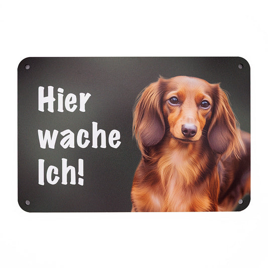 Langhaardackel, Teckel Warnschild „Hier wache ich!“ | Jagdhund Hundeschild für Zaun, Tor & Grundstück, wetterfest