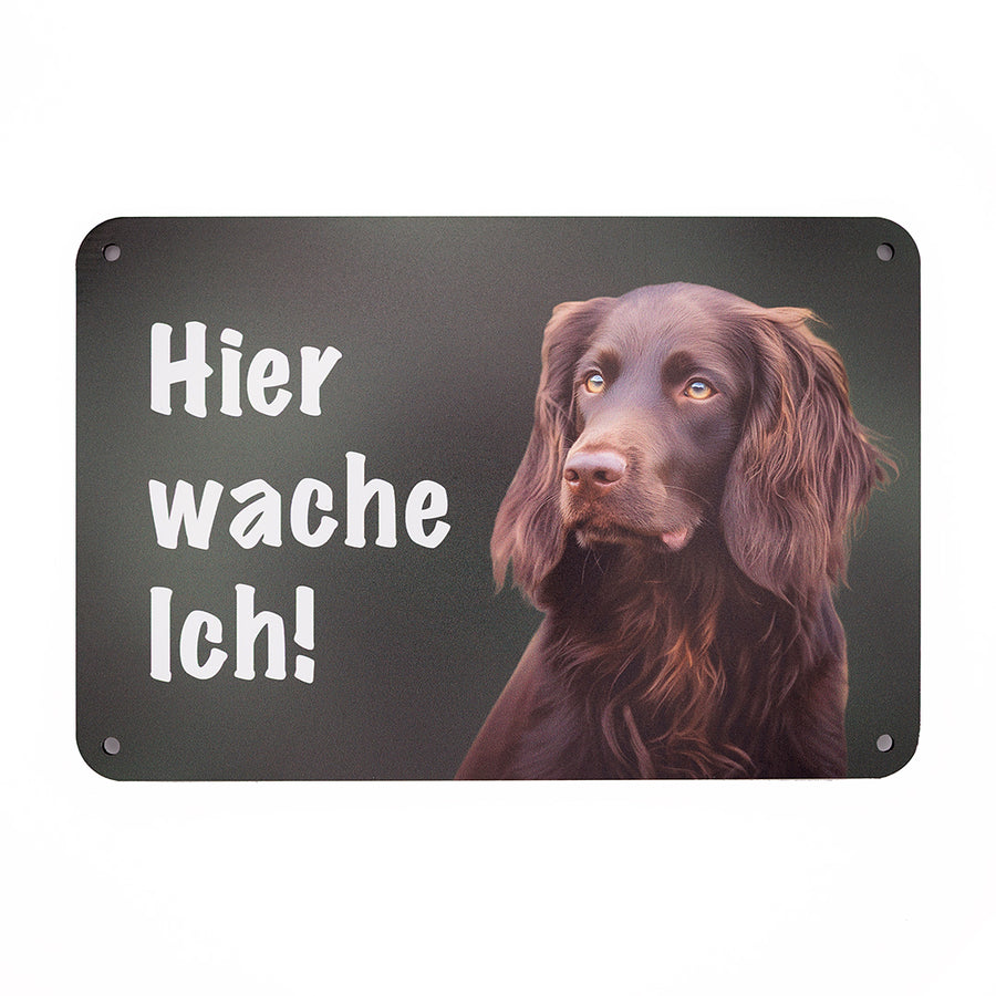 Deutsch Langhaar Warnschild „Hier wache ich!“